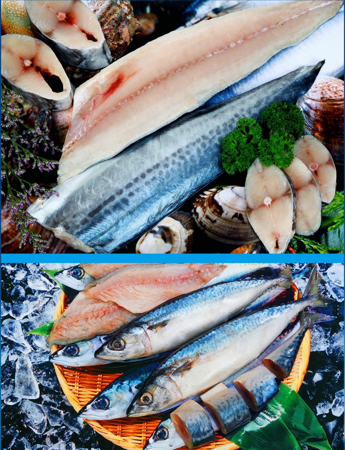冻组胺鱼（片）