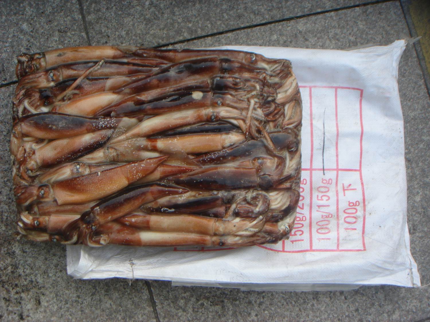 阿根廷鱿鱼 Illex Squid